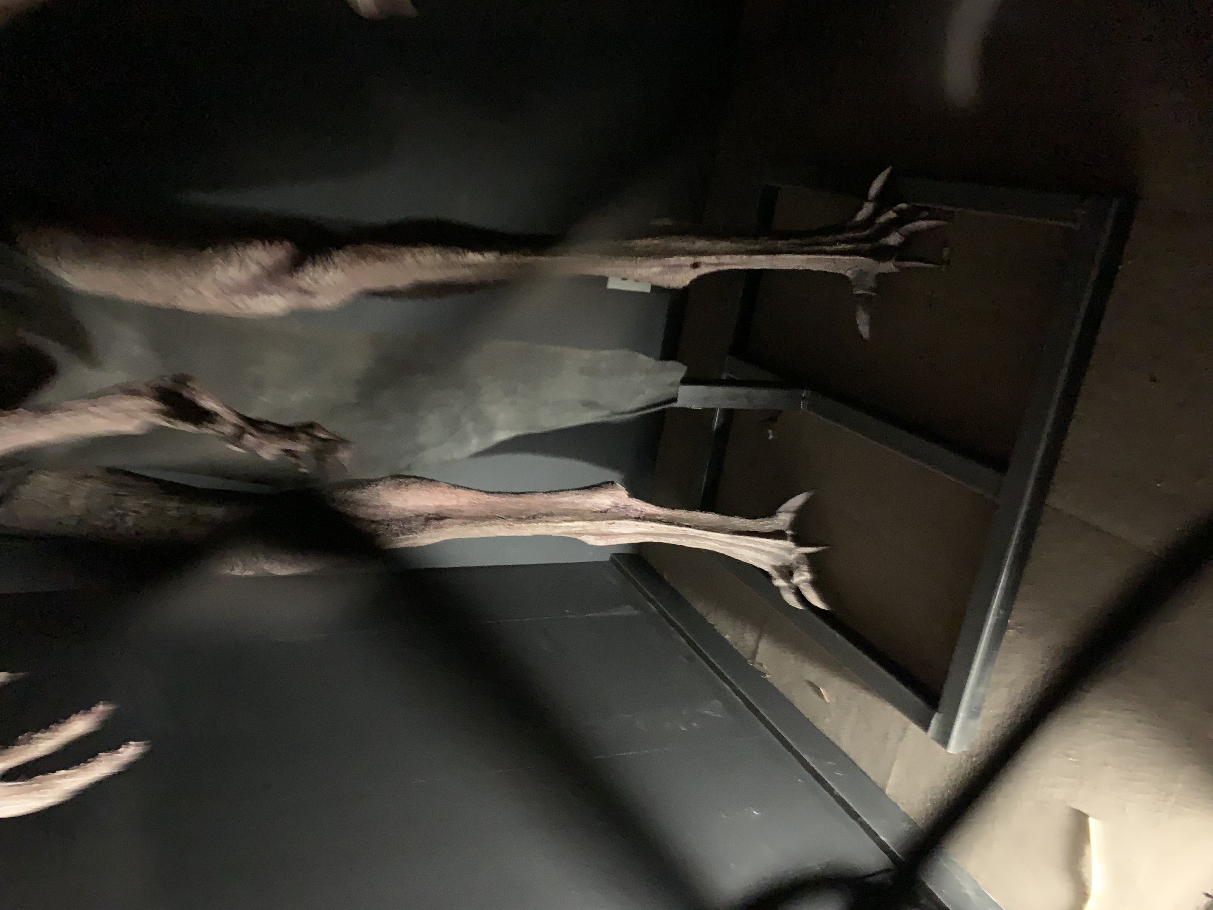 ./2022/06 - St Louis/06 - Day 6/20220526-151630885.JPG